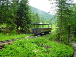 vagn