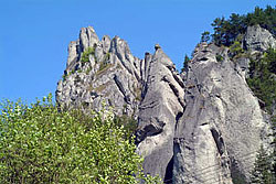 príroda