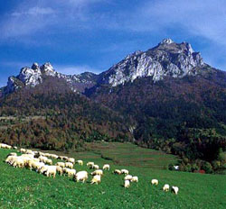 príroda